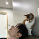 차귀도 약국 | days | 설 연휴 그리고 여행, 아프지말자 실패!(2/15-21)