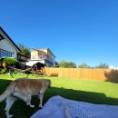 행복한그림이 이미지