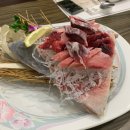 참치만나라
