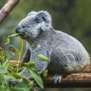 동물원주유소 이미지