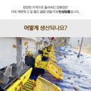 허니트리 이미지