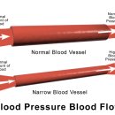 조호군한의원 이미지