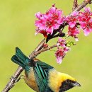 일산5단지아파트 이미지