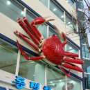 속초동명항게찜 이미지