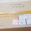 베베네코 - 수원시 권선구 동수원로146번길 316-15 | #베베네코 고양이식탁 후기