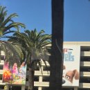 하이(Hi)안경 | California Honeymoon - Ep.2 유니버셜 스튜디오 할리우드 $200 🇺🇸✨️ / 노랑풍선 미서부 패키지 vip...