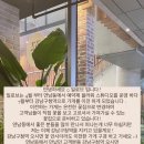 일로브 이미지