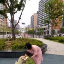 한숲 꽃내음 어린이공원 이미지