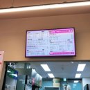 스텔라떡볶이 충북청주율량내덕점 이미지
