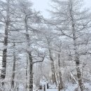 설산 | 태기산 설산 후기｜태기산 최단코스,양두구미재,눈썰매(25.12.28최신근황)
