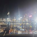 누리호피싱 | [충남 보령 오천항/쭈꾸미 낚시] 초심자의 행운 박살 쭈꾸미 낚시 기행