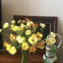 팜팜스토어 이미지