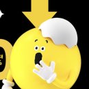 (주)세일헬스케어 이미지