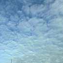 연세 여성헬스 | [판교] 아폴로헬스케어_분당 판교 건강검진 위 내시경 후기