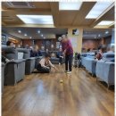 부흥할머니 이미지