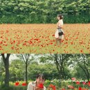 케이밀라