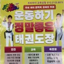 한국체대리더스태권도장 이미지