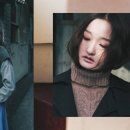 보투스 이미지