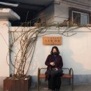 금왕한우농장 | 경주여행 :: 1박2일 경주여행코스 추천 (경주 가볼만한 곳)