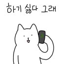 이백퍼센트(주) 이미지