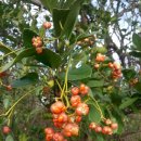 제주폴리아트센터 이미지