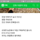 강화도 선원면 신정리 448 무화과농장 이미지