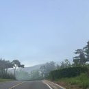 고령 마스터피스C.C 이미지