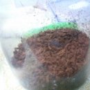 사랑방펫 이미지