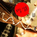 모아헤어크리닉 - 충주시 | 모아헤어크리닉