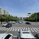 선일초등학교 건너편 이미지