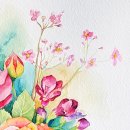 수채화(취미) 이미지