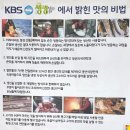 풍년연탄구이 | 아산 풍세맛집 풍년식당 생선구이 연탄불고기