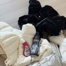세기세탁소 | 구스 패딩 세탁기 건조기 성공 방법 룰루레몬 몽벨 아기옷까지 후기