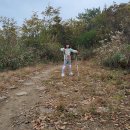 소의초교 이미지