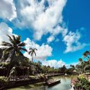 쉴위훌라 이미지