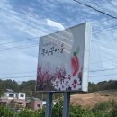 바우길 12구간 | 들어봤니? 강원도 강릉 주문진여행 가볼만한 곳 복사꽃마을 포함 총 6군데