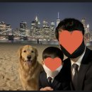 바나나PC | 🍌 포토샵 종말? 구글 나노바나나, AI 이미지 생성의 새로운 기준을 제시하다 (실제 후기 및 사용법 총정리)