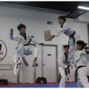 시리우스 시범 태권도장 이미지