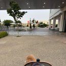 현대프리미엄아울렛 김포점 펫파크 펫 테라스 푸드코트 애견동반