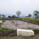 양평목장 이미지