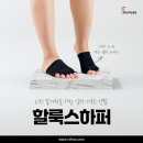 레푸스마곡