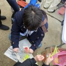 화천읍사무소 | 2024 산천어축제 후기 (맨아래 세줄요약있음)