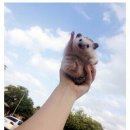 따봉PC방 이미지