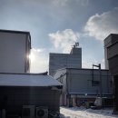 태백산소드림도서관 | 그리움의 열기구를 타고 | 태백 여행 下