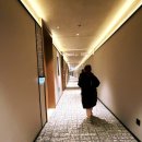 강화버스터미널 | 상하이 사우스스테이션 실로 후기 | 상하이 남역 도보로 5~10분, 남부시외버스터미널 바로 옆 위치 최고