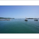 안면도영목항 이미지