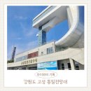 (주)통일관광 | [강원/여행]통일전망대 출입신고 방법부터 관람 후기까지 한 번에 정리 /출입신고 몰라서 돌아간 실화😂