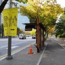 안양시청 앞 이미지