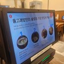 돌고래회관 | 광화문 솥밥 직장인들의 쉼터 공간 돌고래밥