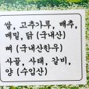 메밀빛초계국수막국수